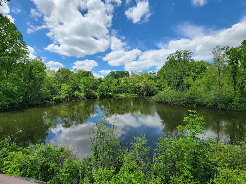 For-Mar Nature Preserve & Arboretum — Burton