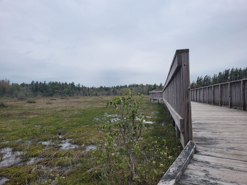 Forbes State Forest