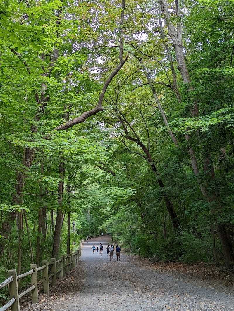 Forbidden Drive Is the Park’s Easiest Way In