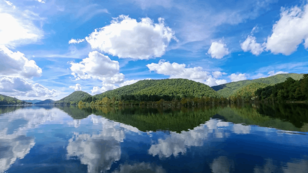 Forget the Great Smoky Mountains Crowds—This Tennessee Forest Has Trails for Days