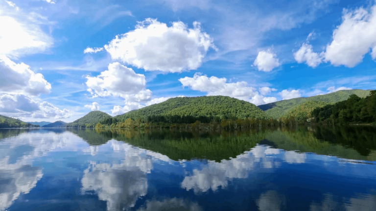Forget the Great Smoky Mountains Crowds—This Tennessee Forest Has Trails for Days