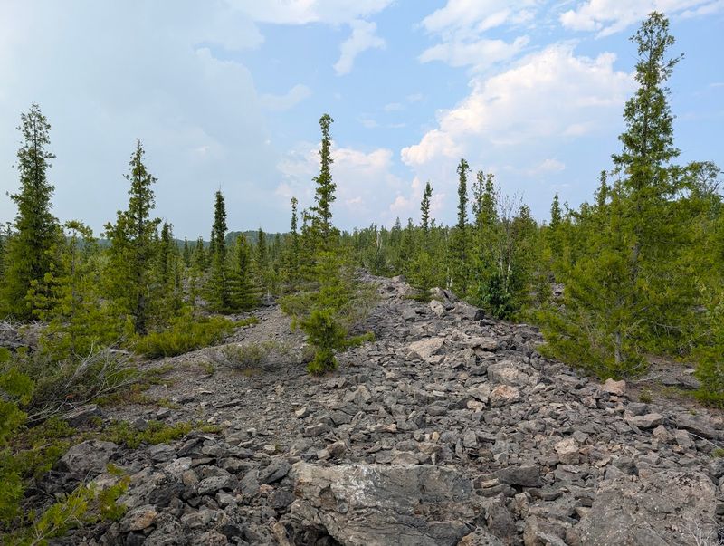 Fossil Hunting in the Old Limestone Quarry