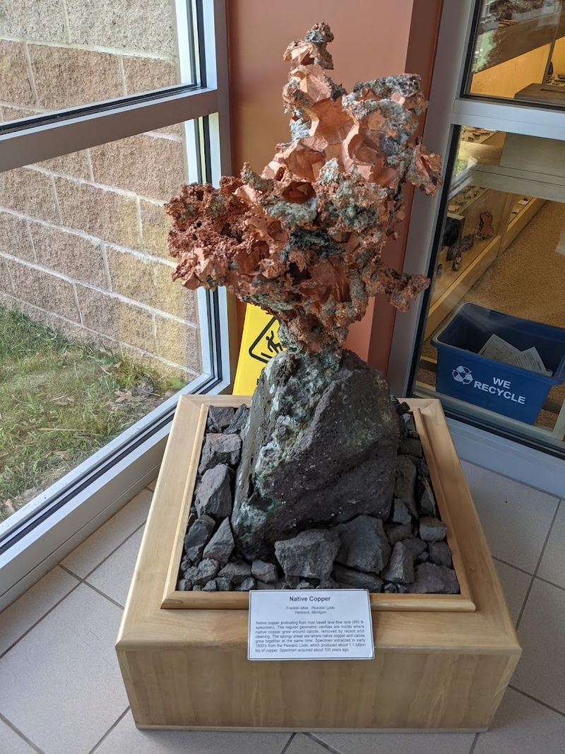 Fossils, Meteorites, and Specimens That Traveled Millions of Miles Fossils, Meteorites, and Specimens That Traveled Millions of Miles