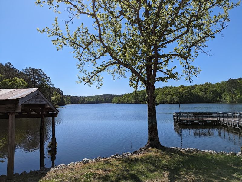 Four Lakes Make This Park Feel Like a Mini Vacation