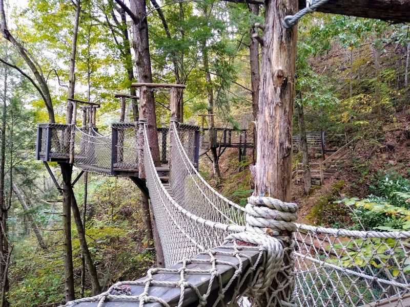 Foxfire Adventure Park — Sevierville Foxfire Adventure Park — Sevierville
