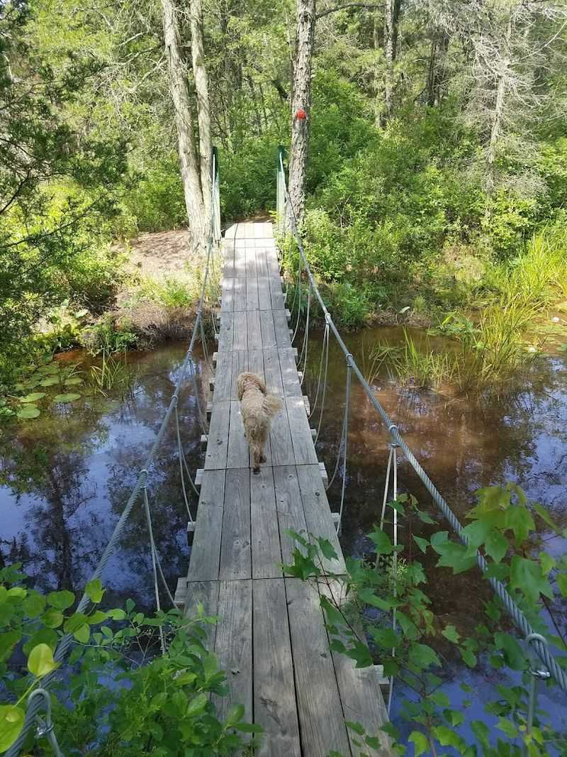 Franklin Parker Preserve Suspension Bridge