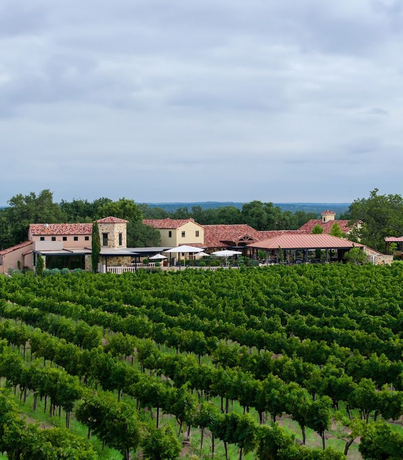 Fredericksburg Wineries