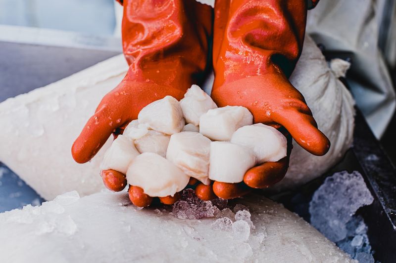 Fresh Seafood Is the Main Reason to Come Hungry Fresh Seafood Is the Main Reason to Come Hungry