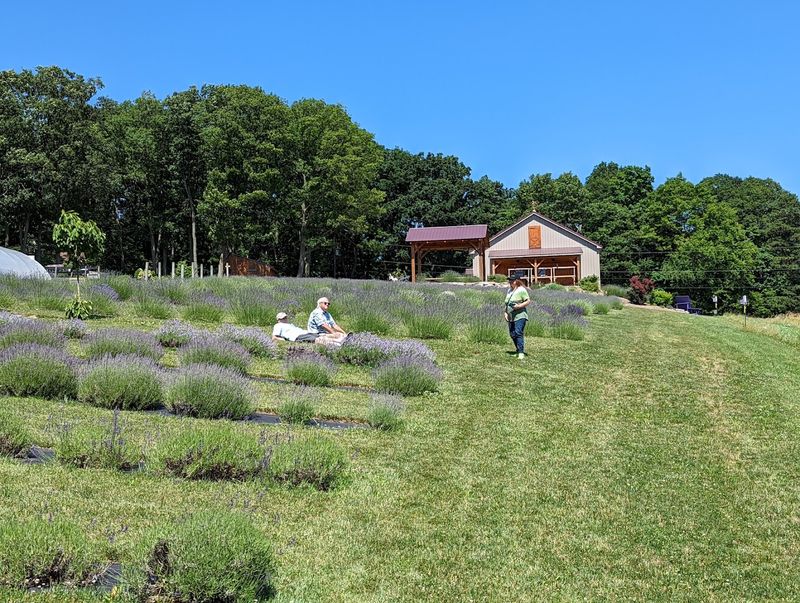 Friendly Owners and Staff Shape the Experience