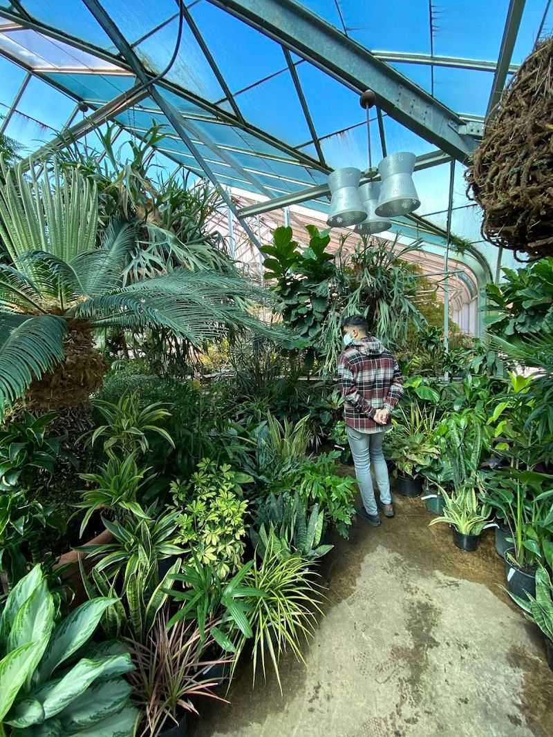 Friendly staff and plant care advice
