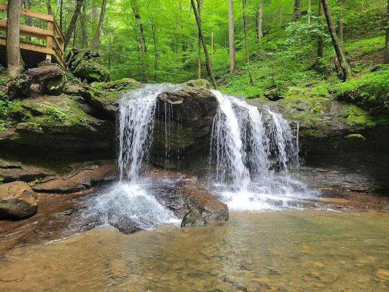 Frozen Head State Park — Wartburg