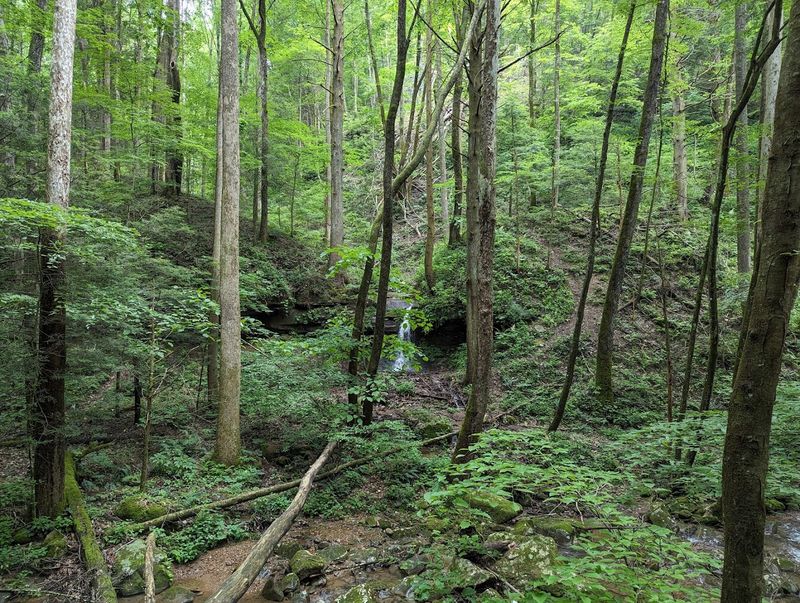 Frozen Head State Park — Wartburg