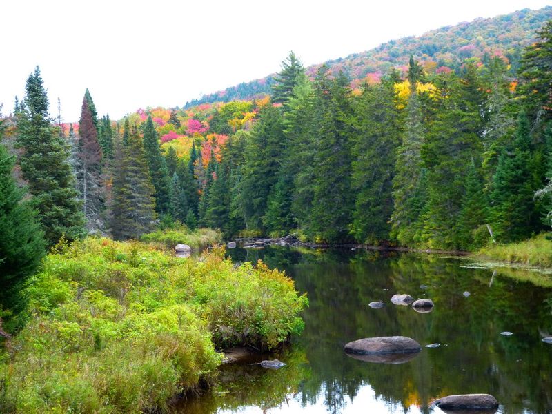 Siamese Ponds Wilderness (Central Adirondacks)