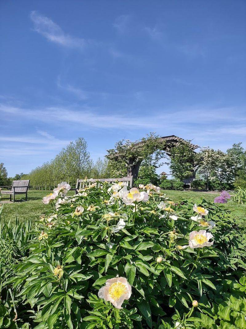 Gardens That Change With The Seasons