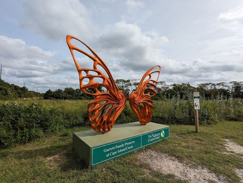 Garrett Family Preserve at Cape Island Creek