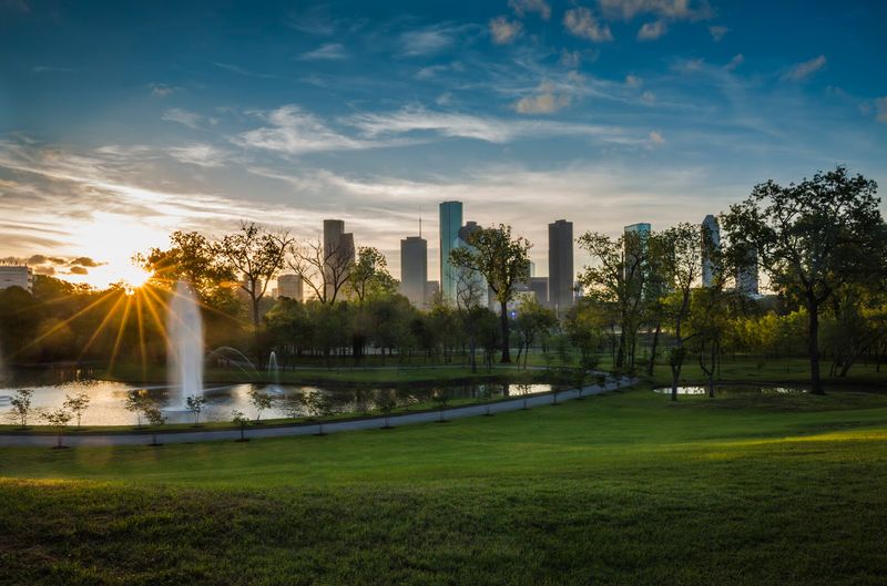 Glenwood Cemetery (Houston)