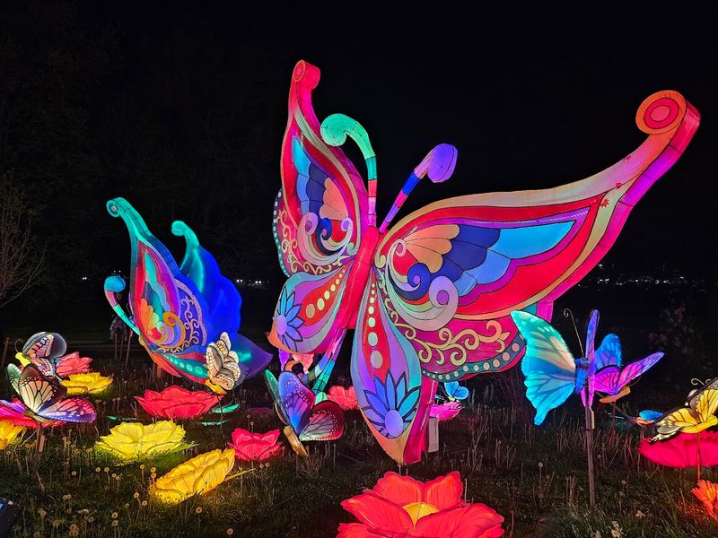 Glowing Animal Lantern Displays