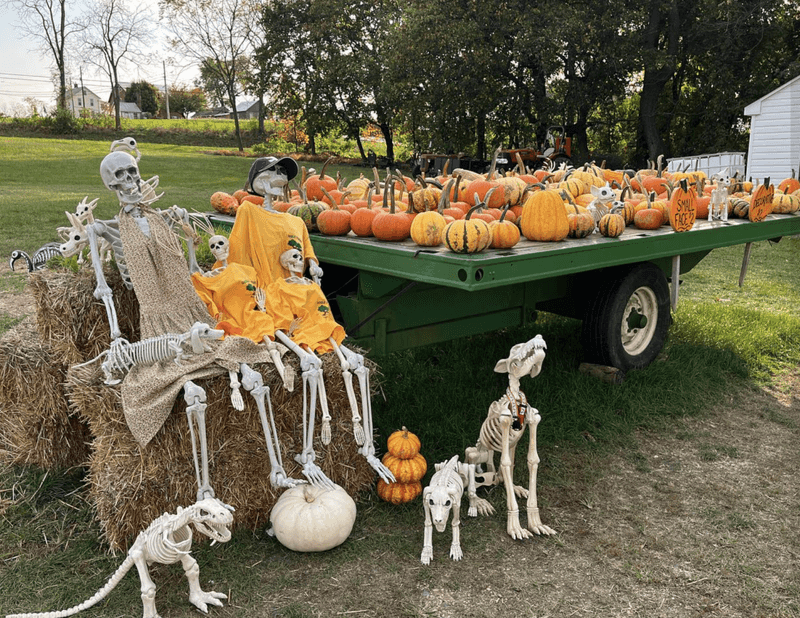 Gogle Farms