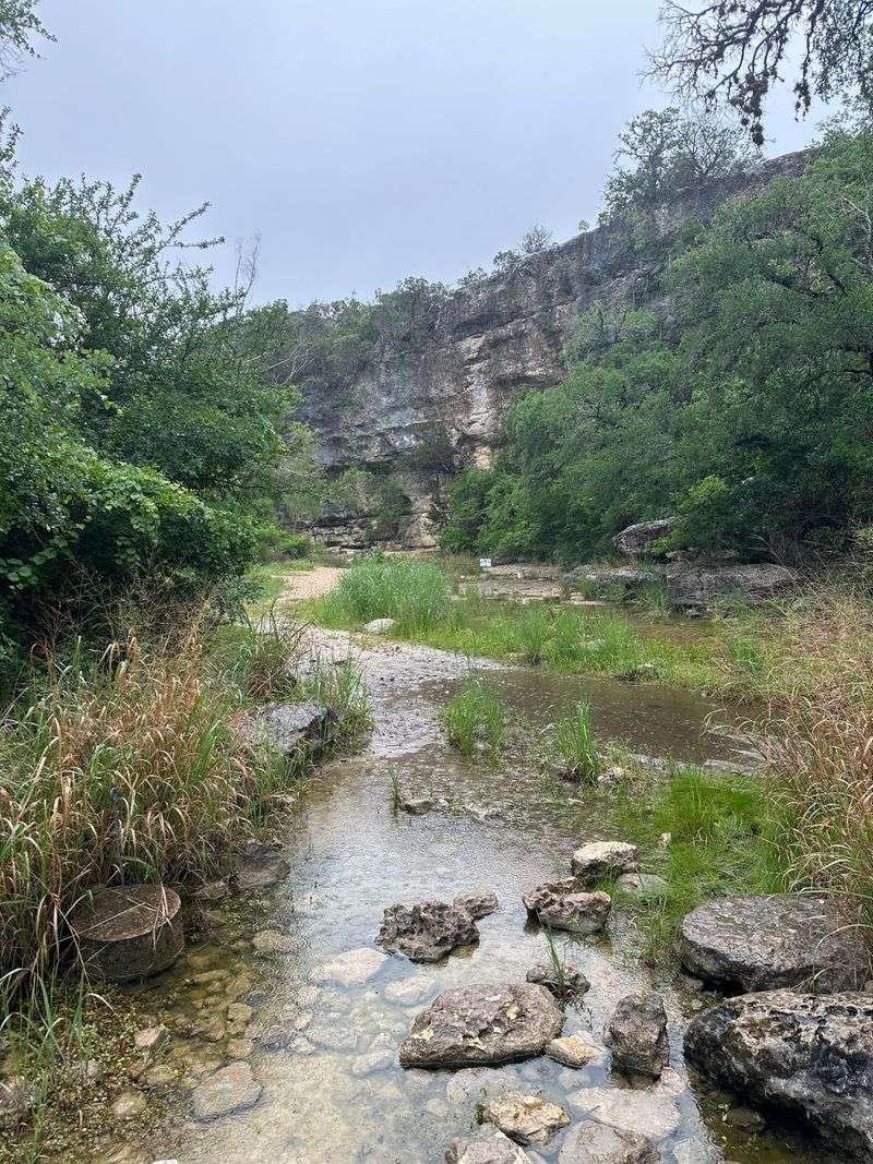 Government Canyon State Natural Area (San Antonio) Government Canyon State Natural Area (San Antonio)