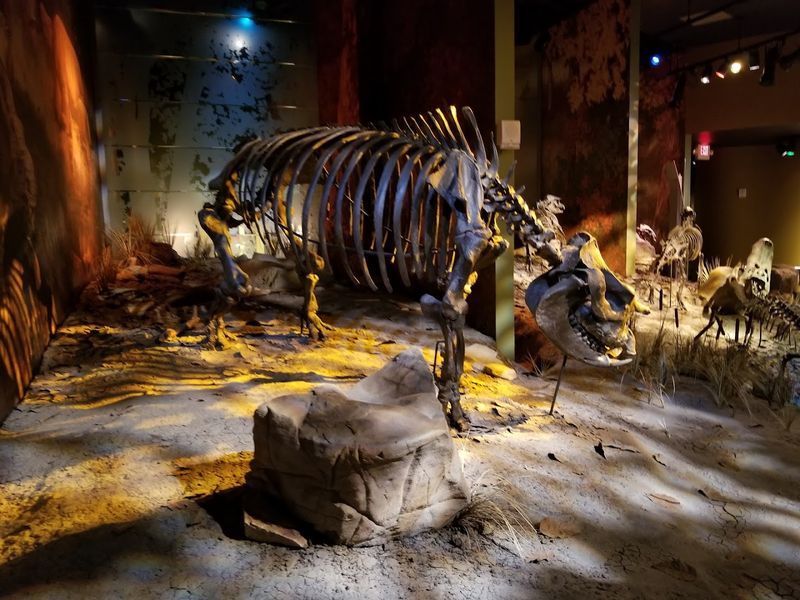 Gray Fossil Site & Museum — Gray Gray Fossil Site & Museum — Gray