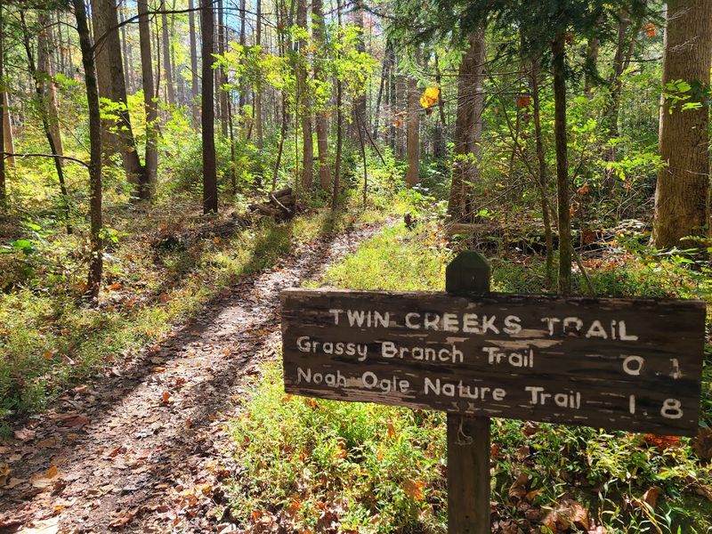 Great Smoky Mountains National Park