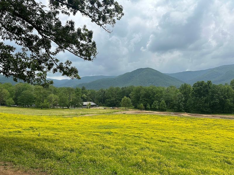 Great Smoky Mountains National Park — Gatlinburg/Townsend area