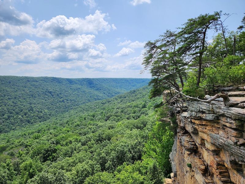 Great Stone Door Overlook, Savage Gulf State Park Great Stone Door Overlook, Savage Gulf State Park