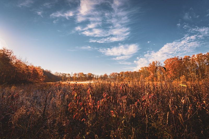 Great Swamp National Wildlife Refuge - Harding Township