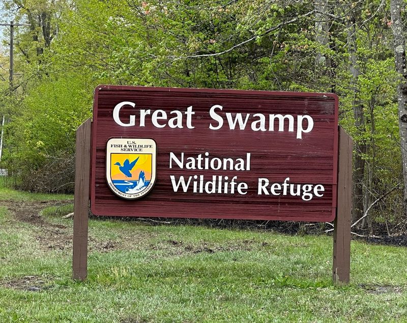 Great Swamp National Wildlife Refuge