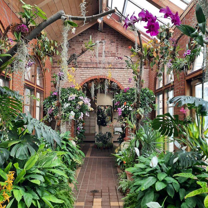 Greenhouses, Rare Plants, And Botanical Surprises