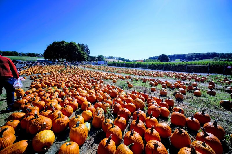 Grim’s Orchard & Family Farms