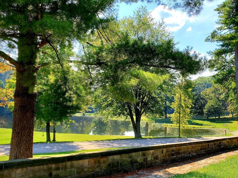 Grounds, Ponds, and the Quiet of the Campus