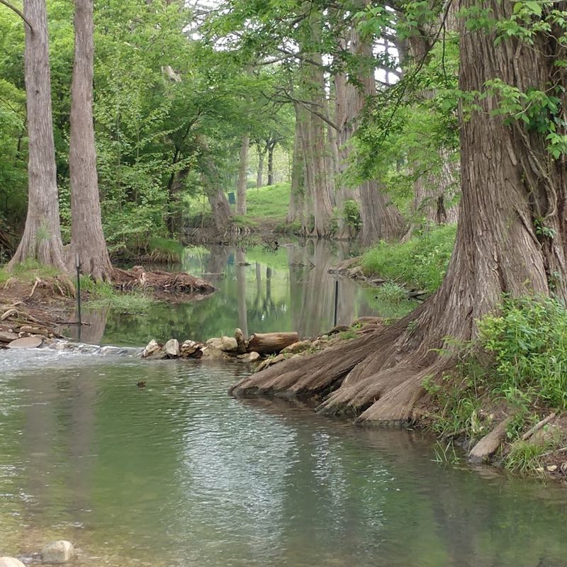 Guadalupe River State Park Guadalupe River State Park