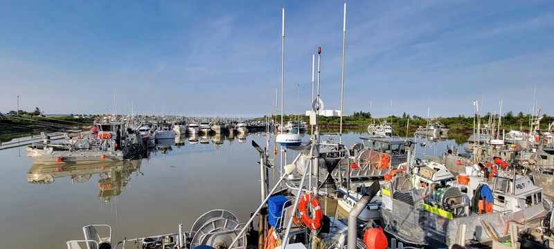A Working Harbor, Not a Curated Waterfront A Working Harbor, Not a Curated Waterfront