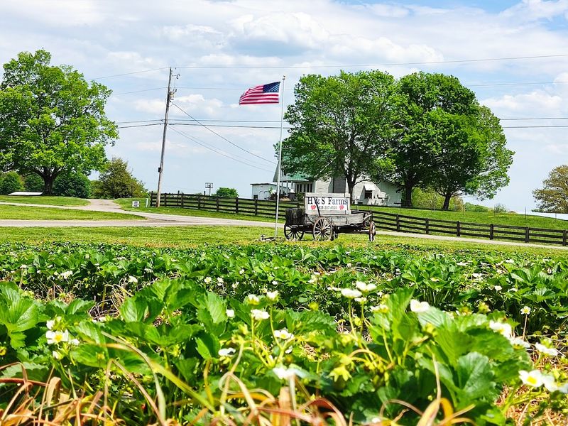 H&S Farms — Clarksville