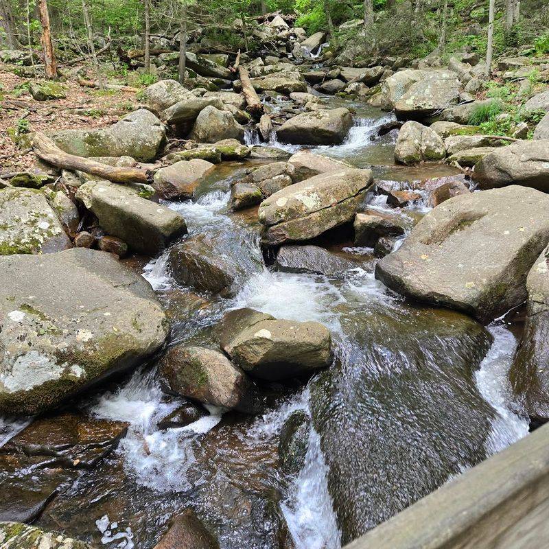 Hacklebarney State Park Waterfalls
