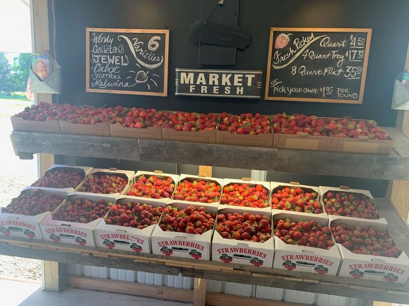 Hanulcik Farm Market & Orchard Hanulcik Farm Market & Orchard
