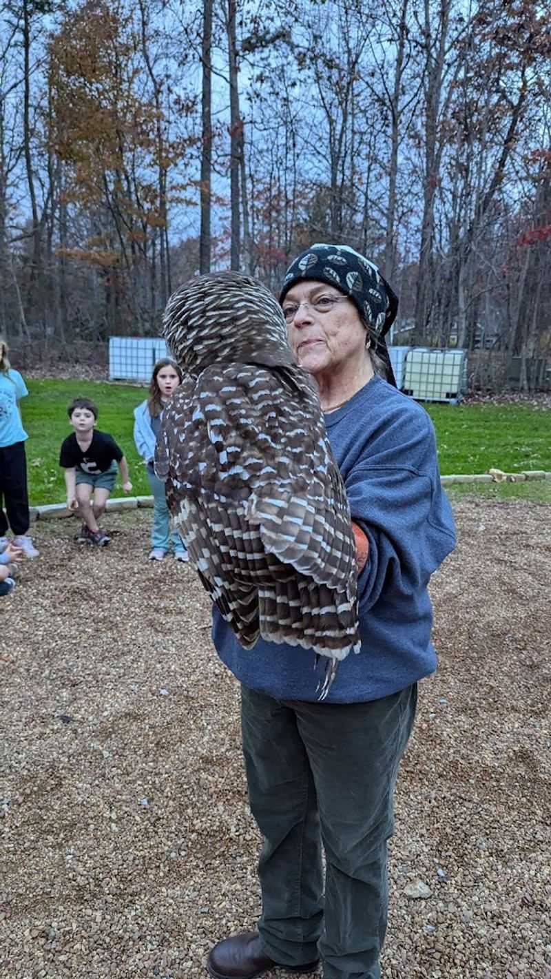 Happinest Wildlife Rescue — Signal Mountain