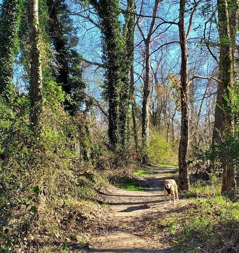 Haw River Trail