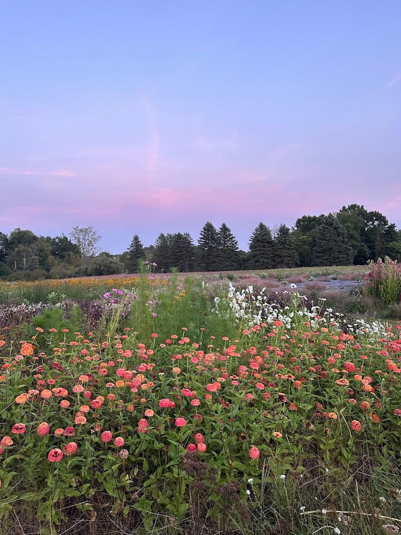 Hazelwood Flower Farm — Oakland Township Hazelwood Flower Farm — Oakland Township