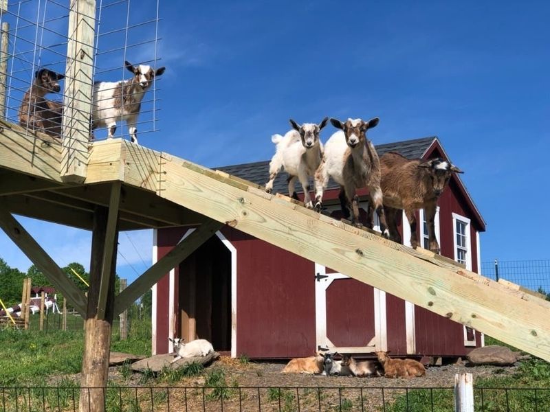 Hellerick’s Family Farm