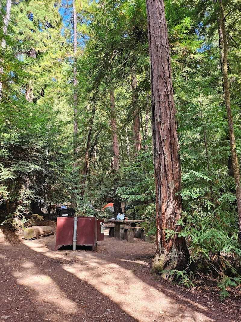 Helpful facilities in a genuinely remote setting