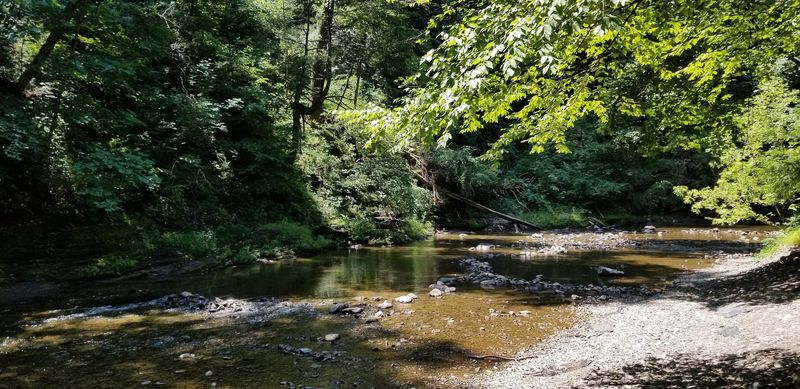 Henry’s Woods Trail