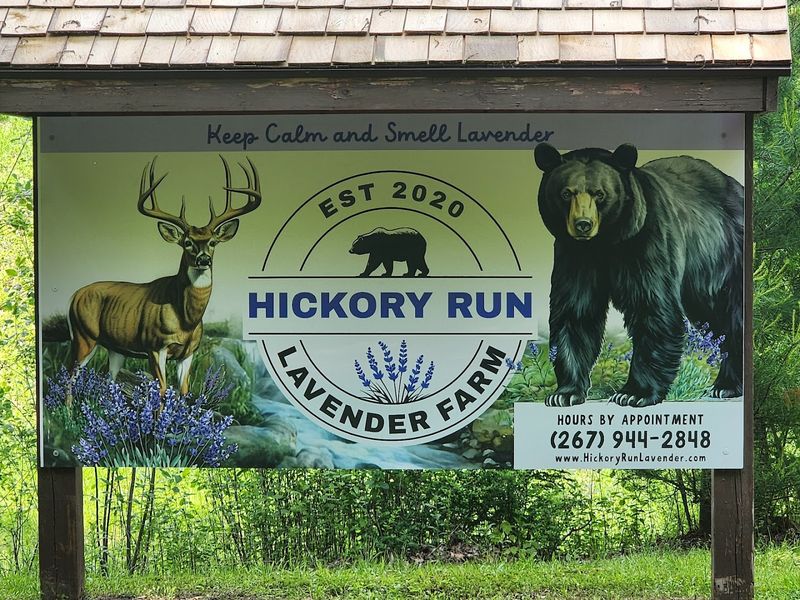 Hickory Run Lavender Farm (White Haven)
