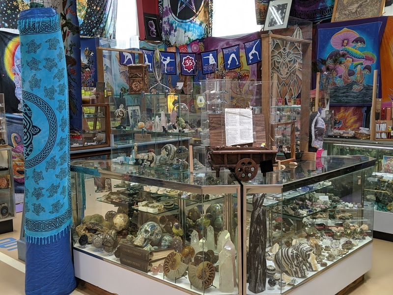 Hidden Gems: Rugs, Pet Supplies, And Unique Imports