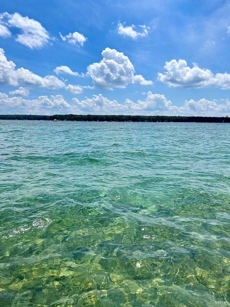 Higgins Lake