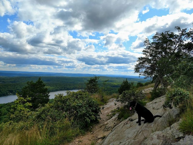 High Point State Park / Kittatinny Ridge - Montague High Point State Park / Kittatinny Ridge - Montague