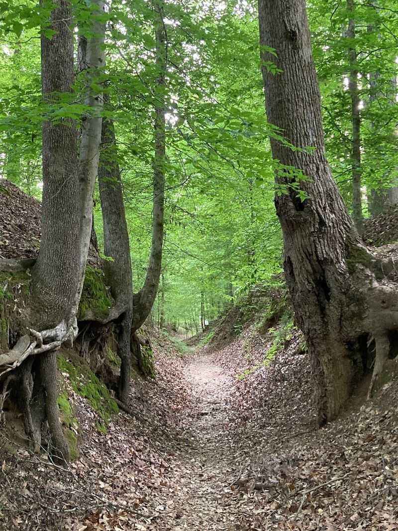 Highland Rim Section of the Natchez Trace National Scenic Trail — Franklin