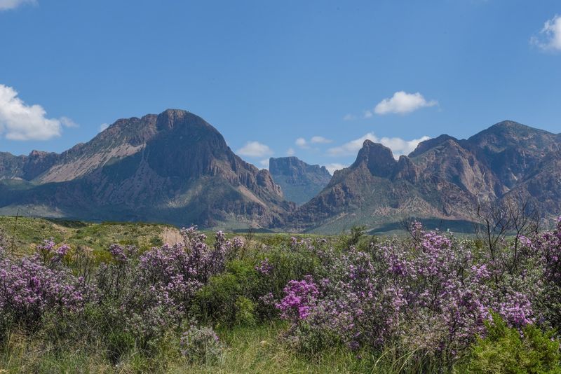 Highway 90/385 — Marathon to Big Bend