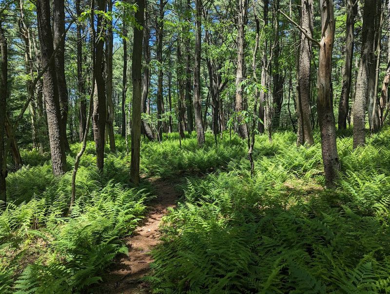 Hiking Here Ranges From Gentle Walks To Longer Adventures Hiking Here Ranges From Gentle Walks To Longer Adventures